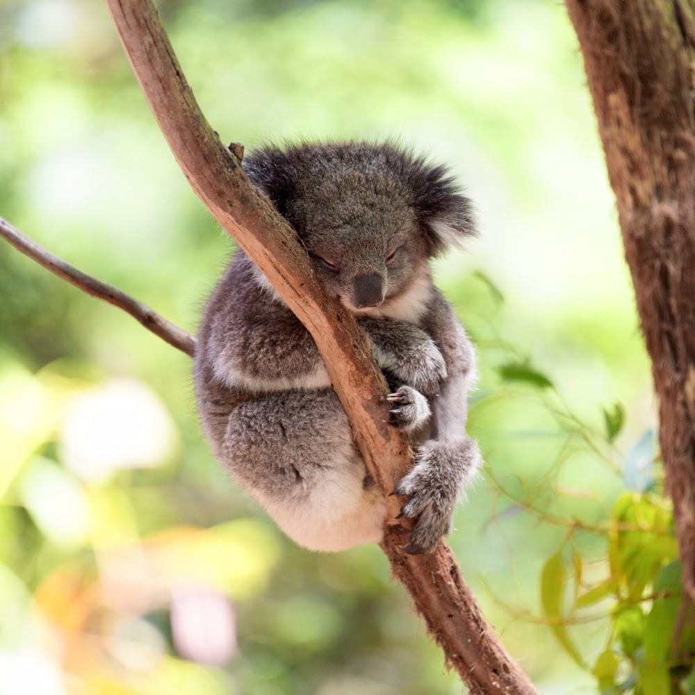 Meet your Posher, Dylan